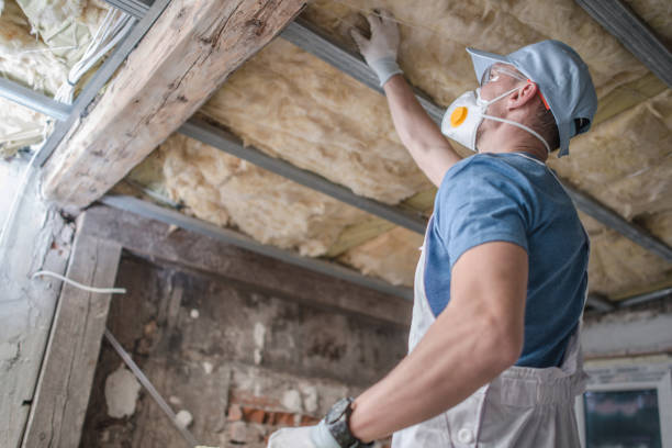 Best Specialized Insulation Services in North Judson, IN